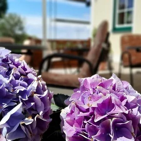 Zur Turmstube * Dossenheim